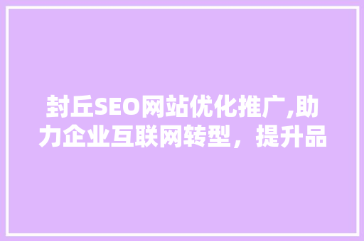 封丘SEO网站优化推广,助力企业互联网转型，提升品牌影响力  第1张