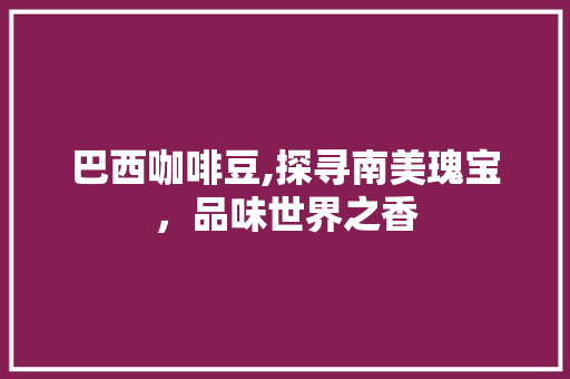 巴西咖啡豆,探寻南美瑰宝，品味世界之香