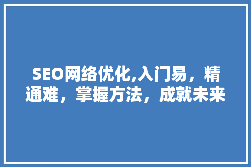 SEO网络优化,入门易，精通难，掌握方法，成就未来