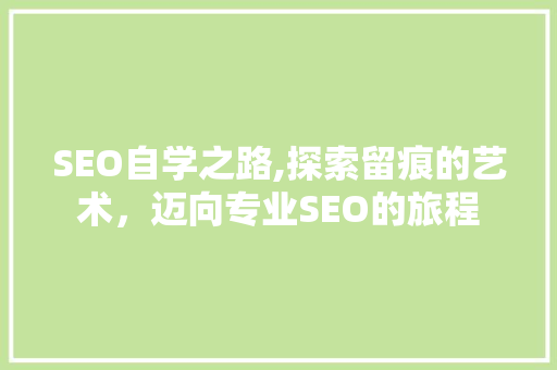 SEO自学之路,探索留痕的艺术，迈向专业SEO的旅程