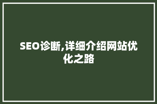 SEO诊断,详细介绍网站优化之路