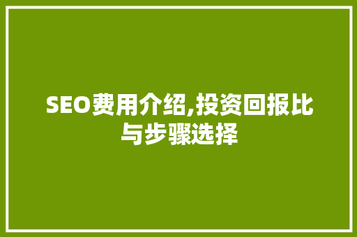SEO费用介绍,投资回报比与步骤选择