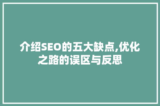 介绍SEO的五大缺点,优化之路的误区与反思