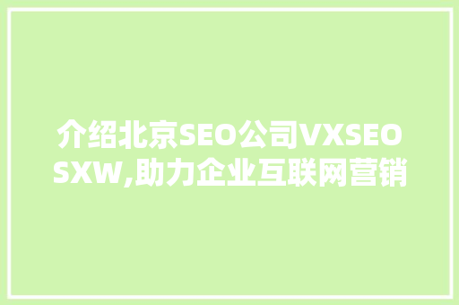 介绍北京SEO公司VXSEOSXW,助力企业互联网营销的领军者