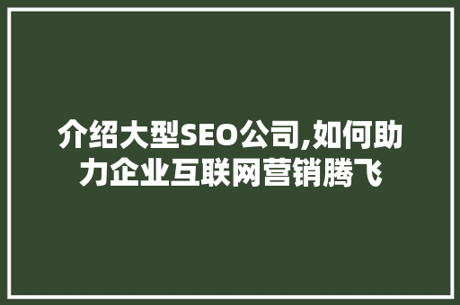 介绍大型SEO公司,如何助力企业互联网营销腾飞