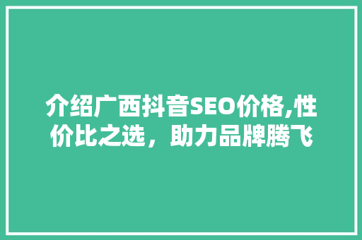 介绍广西抖音SEO价格,性价比之选，助力品牌腾飞