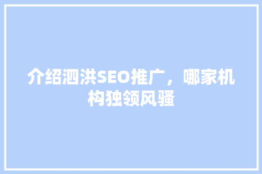 介绍泗洪SEO推广，哪家机构独领风骚