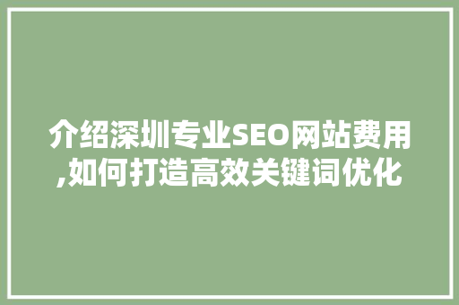 介绍深圳专业SEO网站费用,如何打造高效关键词优化步骤