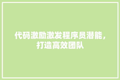 代码激励激发程序员潜能，打造高效团队  第1张