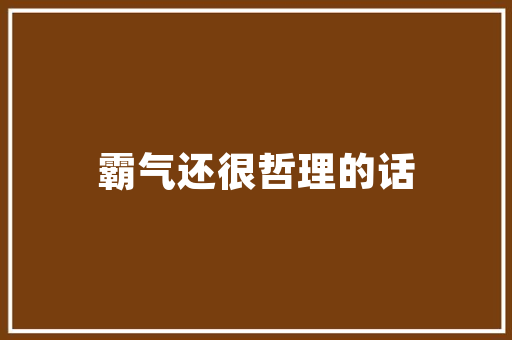 介绍通辽短视频SEO公司,如何助力短视频内容快速崛起