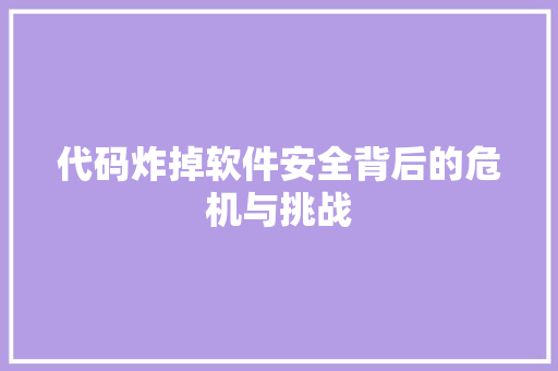 代码炸掉软件安全背后的危机与挑战  第1张