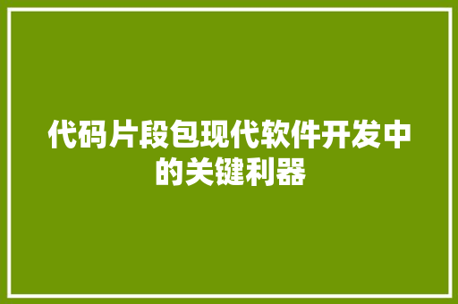 代码片段包现代软件开发中的关键利器  第1张