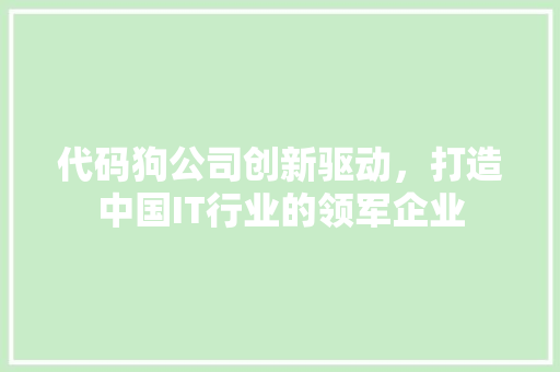 代码狗公司创新驱动，打造中国IT行业的领军企业  第1张