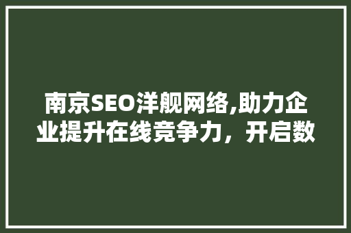 南京SEO洋舰网络,助力企业提升在线竞争力，开启数字化营销新时代