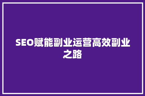 SEO赋能副业运营高效副业之路