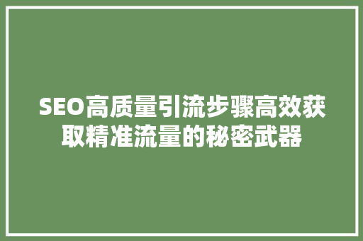 SEO高质量引流步骤高效获取精准流量的秘密武器