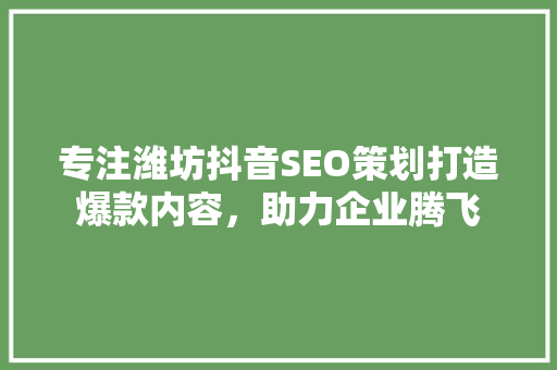 专注潍坊抖音SEO策划打造爆款内容，助力企业腾飞
