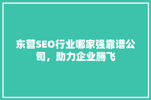 东营SEO行业哪家强靠谱公司，助力企业腾飞