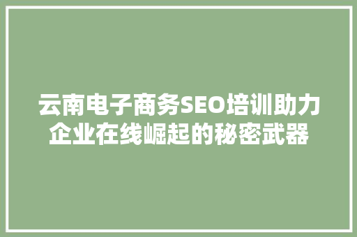 云南电子商务SEO培训助力企业在线崛起的秘密武器