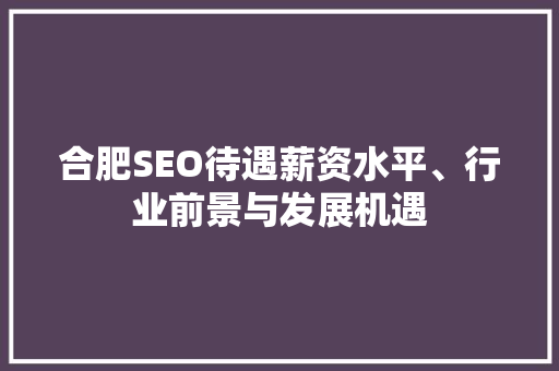 合肥SEO待遇薪资水平、行业前景与发展机遇