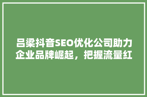吕梁抖音SEO优化公司助力企业品牌崛起，把握流量红利