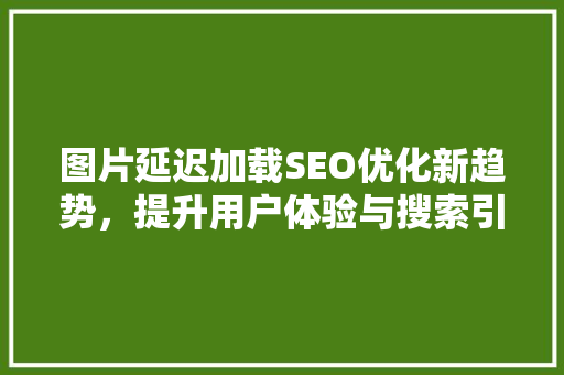 图片延迟加载SEO优化新趋势，提升用户体验与搜索引擎排名