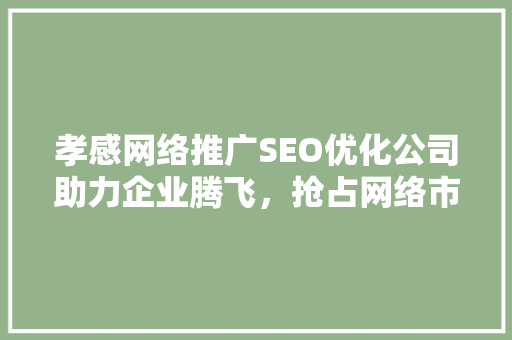 孝感网络推广SEO优化公司助力企业腾飞，抢占网络市场制高点
