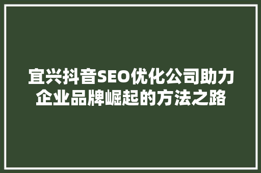宜兴抖音SEO优化公司助力企业品牌崛起的方法之路