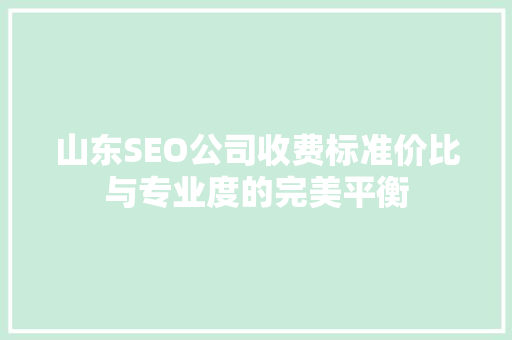 山东SEO公司收费标准价比与专业度的完美平衡