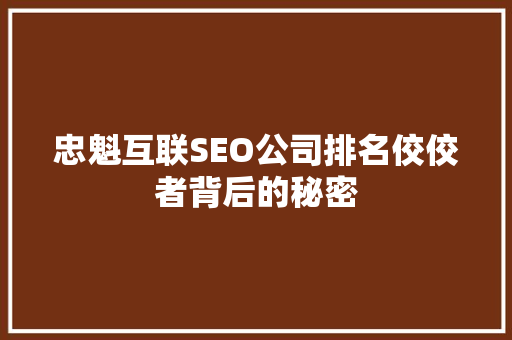 忠魁互联SEO公司排名佼佼者背后的秘密  第1张