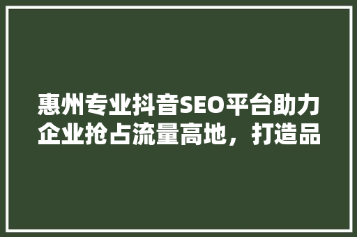 惠州专业抖音SEO平台助力企业抢占流量高地，打造品牌新生态