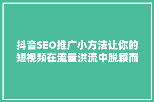 抖音SEO推广小方法让你的短视频在流量洪流中脱颖而出