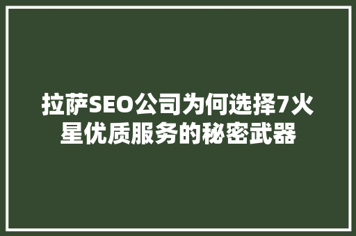 拉萨SEO公司为何选择7火星优质服务的秘密武器