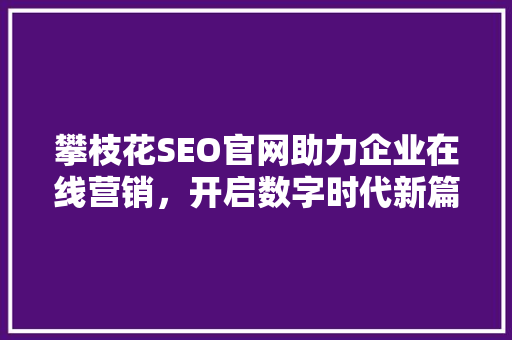 攀枝花SEO官网助力企业在线营销，开启数字时代新篇章