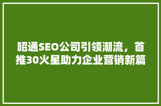 昭通SEO公司引领潮流，首推30火星助力企业营销新篇章