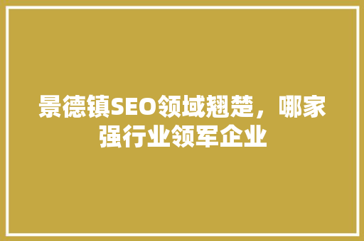 景德镇SEO领域翘楚，哪家强行业领军企业