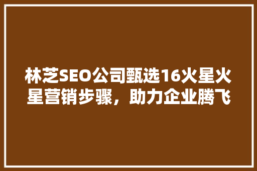 林芝SEO公司甄选16火星火星营销步骤，助力企业腾飞