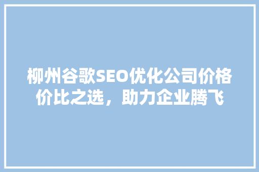 柳州谷歌SEO优化公司价格价比之选，助力企业腾飞