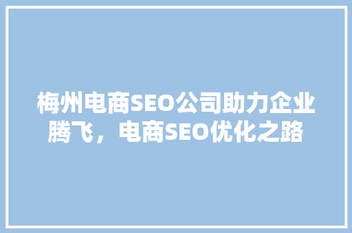 梅州电商SEO公司助力企业腾飞，电商SEO优化之路