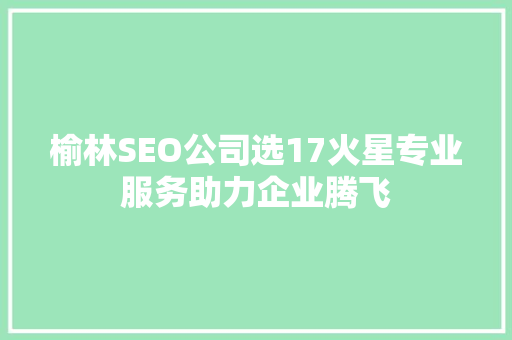 榆林SEO公司选17火星专业服务助力企业腾飞