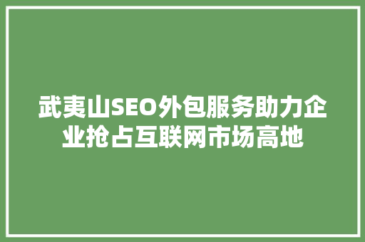 武夷山SEO外包服务助力企业抢占互联网市场高地