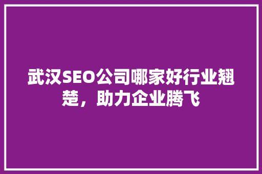 武汉SEO公司哪家好行业翘楚，助力企业腾飞