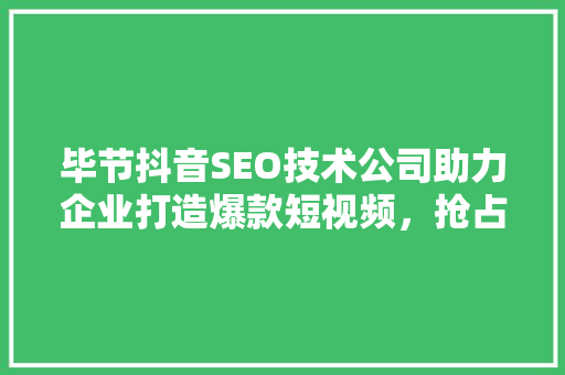 毕节抖音SEO技术公司助力企业打造爆款短视频，抢占流量高地