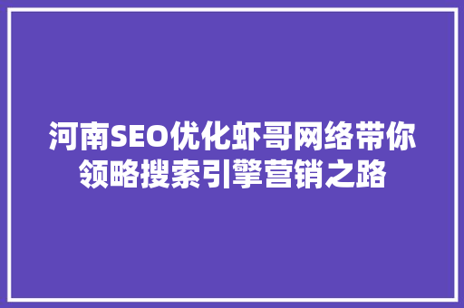 河南SEO优化虾哥网络带你领略搜索引擎营销之路