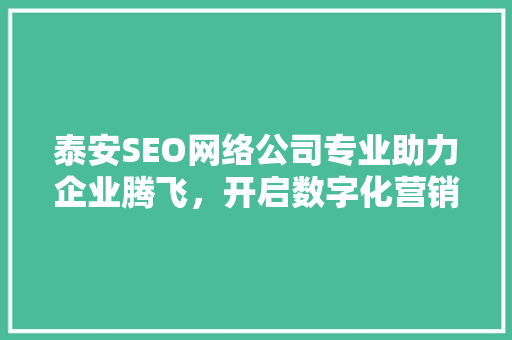 泰安SEO网络公司专业助力企业腾飞，开启数字化营销新篇章