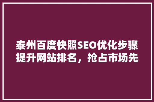 泰州百度快照SEO优化步骤提升网站排名，抢占市场先机  第1张