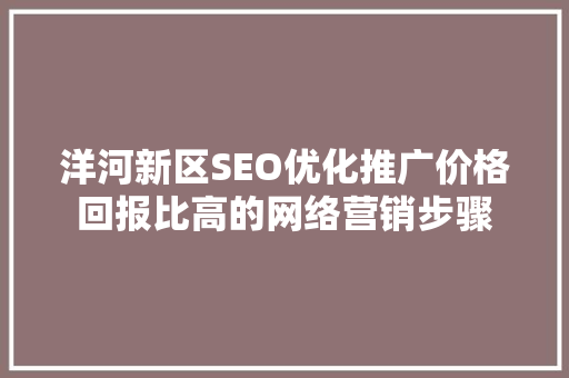 洋河新区SEO优化推广价格回报比高的网络营销步骤