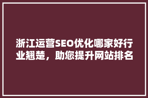 浙江运营SEO优化哪家好行业翘楚，助您提升网站排名