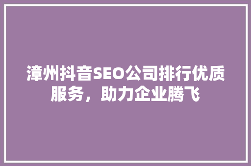 漳州抖音SEO公司排行优质服务，助力企业腾飞