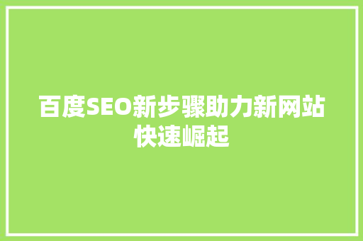 百度SEO新步骤助力新网站快速崛起
